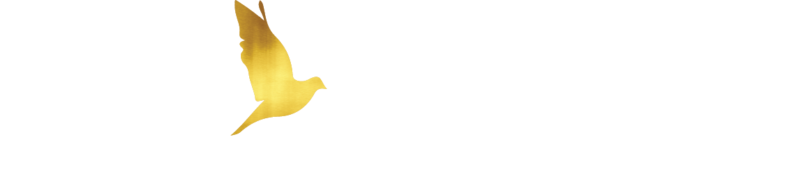 Pigeon Performance